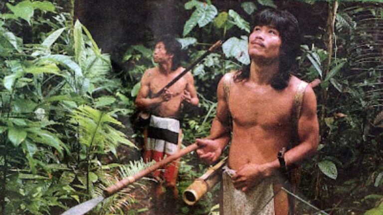 penan8