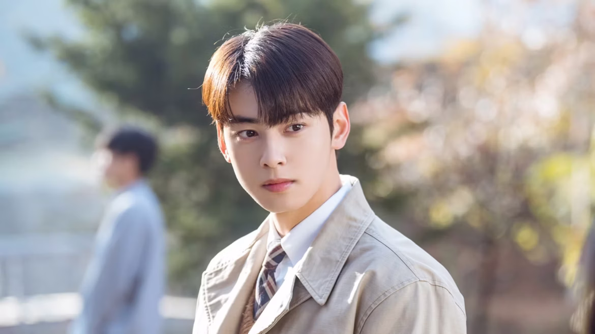 COMPREHENSIVE CHA EUN WOO TAX EVASION CASE